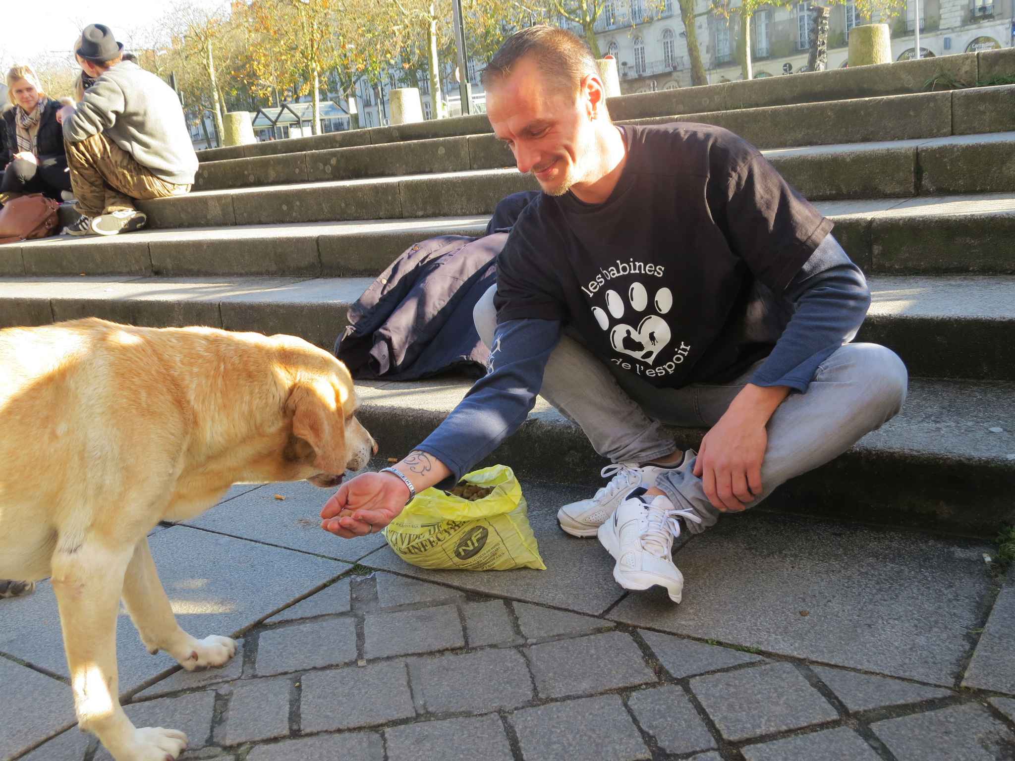Nantes: Il crée des «Restos du coeur» pour les chiens des Nantes: Il crée des «Restos du coeur» pour les chiens des