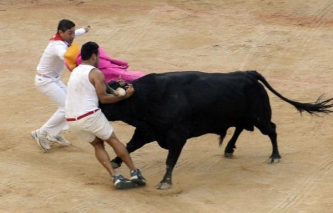 Trente huit personnes ont été blessées lors des fêtes traditionnelles de la San Fermin qui se sont achevées samedi, dont quatre lors du huitième et dernier lâcher de taureaux dans les ruelles de Pampelune accompagnés de milliers de passionnés du monde entier. Trente huit personnes ont été blessées lors des fêtes traditionnelles de la San Fermin qui se sont achevées samedi, dont quatre lors du huitième et dernier lâcher de taureaux dans les ruelles de Pampelune accompagnés de milliers de passionnés du monde entier.