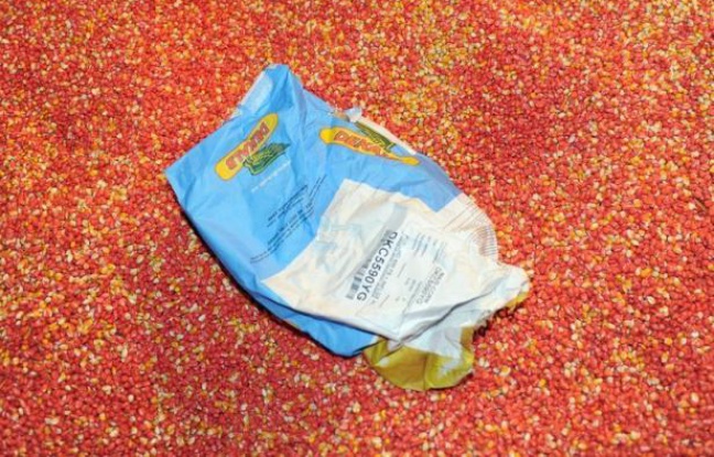 D'Europe à l'Amérique latine en passant par l'Afrique et l'Inde, des milliers de paysans se sont élevés contre Monsanto et ses OGM: des efforts qui ont convaincu des décideurs politiques à mieux encadrer le secteur agroalimentaire, selon un rapport d'ONG D'Europe à l'Amérique latine en passant par l'Afrique et l'Inde, des milliers de paysans se sont élevés contre Monsanto et ses OGM: des efforts qui ont convaincu des décideurs politiques à mieux encadrer le secteur agroalimentaire, selon un rapport d'ONG