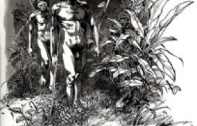 Illustration de La Préhistoire, d'Antoine Balzeau et Sophie Archambault de Beaune. Illustration de La Préhistoire, d'Antoine Balzeau et Sophie Archambault de Beaune.