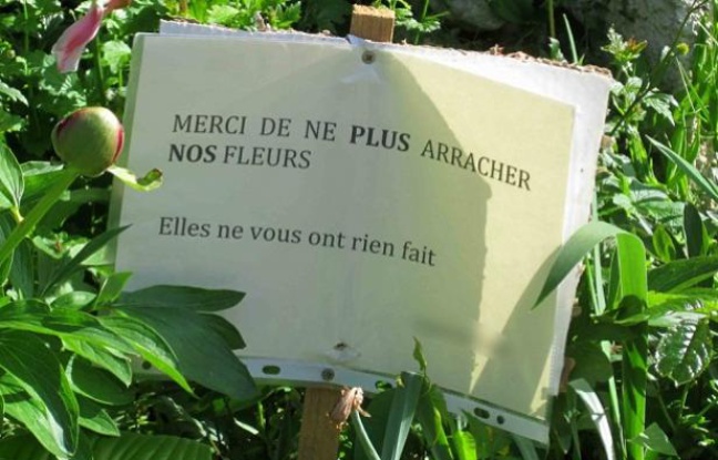 Photo du tumblr chersvoisins Photo du tumblr chersvoisins