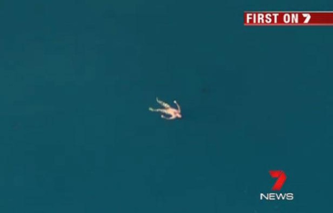 Un pêcheur en détresse au large de Leeman, en Australie, le 10 août 2012 - capture d'écran d'une vidéo de 7 News. Un pêcheur en détresse au large de Leeman, en Australie, le 10 août 2012 - capture d'écran d'une vidéo de 7 News.