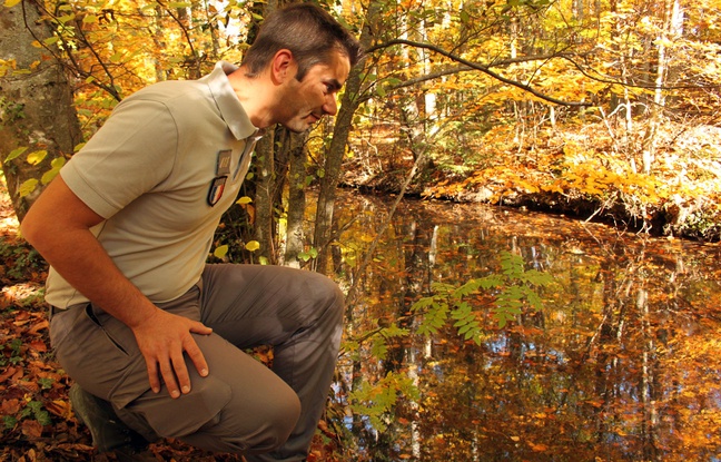 Yannick Pognart, inspecteur de l'environnement à l'Onema, à Gap le 23 octobre 2015. Yannick Pognart, inspecteur de l'environnement à l'Onema, à Gap le 23 octobre 2015.