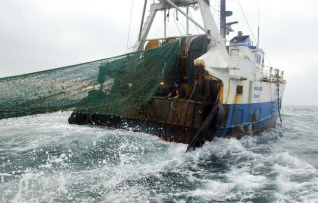 Tout comme l'agriculture intensive provoque l'érosion des sols et chamboule les écosystèmes, la pêche industrielle au chalut nivelle le fond des océans dans le monde entier, avertissent des chercheurs espagnols. Tout comme l'agriculture intensive provoque l'érosion des sols et chamboule les écosystèmes, la pêche industrielle au chalut nivelle le fond des océans dans le monde entier, avertissent des chercheurs espagnols.