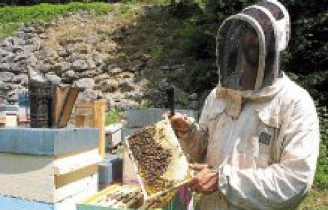 Thierry Salavin élève ses abeilles sur cinq sites fixes et quelques ruches mobiles « pour choper les essences spécifiques ». Thierry Salavin élève ses abeilles sur cinq sites fixes et quelques ruches mobiles « pour choper les essences spécifiques ».