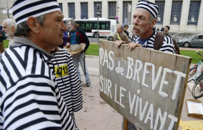 Un agriculteur habillé en prisonnier manifeste contre le brevetage du vivant à Lyon le vendredi 4 avril 2014 Un agriculteur habillé en prisonnier manifeste contre le brevetage du vivant à Lyon le vendredi 4 avril 2014
