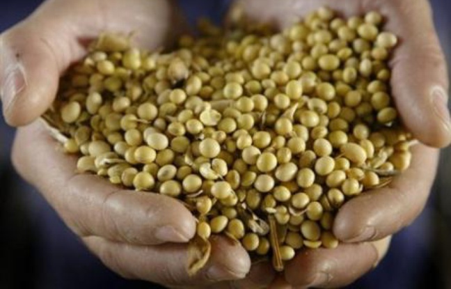 Le groupe agrochimique américain Monsanto a révisé nettement à la hausse ses objectifs de résultats pour 2008, grâce à ses semences génétiquement modifiées et aux herbicides, et s'est dit en avance sur son plan stratégique à objectif 2012, selon un communiqué publié mardi. Le groupe agrochimique américain Monsanto a révisé nettement à la hausse ses objectifs de résultats pour 2008, grâce à ses semences génétiquement modifiées et aux herbicides, et s'est dit en avance sur son plan stratégique à objectif 2012, selon un communiqué publié mardi.