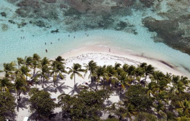 Les réservations de voyages dans les Antilles françaises ont chuté à cause de la menace du virus Zika. Les réservations de voyages dans les Antilles françaises ont chuté à cause de la menace du virus Zika.