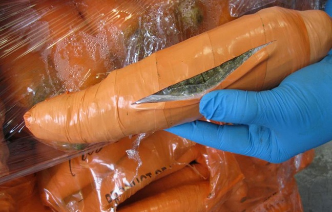 La marijuana était conditionnée dans 2.817 fausses carottes recouvertes de ruban adhésif orange. La marijuana était conditionnée dans 2.817 fausses carottes recouvertes de ruban adhésif orange.