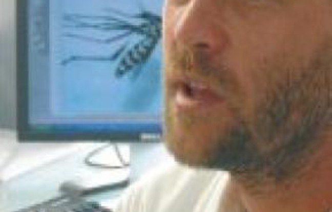 Jean-Baptiste Ferré, entomologiste, surveille de près l'insecte. Jean-Baptiste Ferré, entomologiste, surveille de près l'insecte.