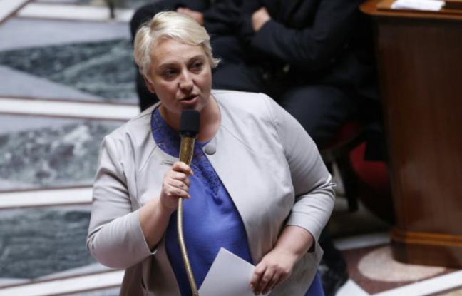 La secrétaire d’État chargée des Droits des femmes, Pascale Boistard, le 15 juillet 2015 à l'Assemblée nationale à Paris La secrétaire d’État chargée des Droits des femmes, Pascale Boistard, le 15 juillet 2015 à l'Assemblée nationale à Paris