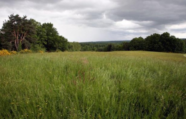 Les Parcs naturels régionaux de France maintiennent leur opposition aux gaz de schiste, prenant à contre-pied un rapport de l'Agence internationale de l'Energie (AIE) favorable à l'exploitation de ces gaz, ont-ils annoncé mercredi. Les Parcs naturels régionaux de France maintiennent leur opposition aux gaz de schiste, prenant à contre-pied un rapport de l'Agence internationale de l'Energie (AIE) favorable à l'exploitation de ces gaz, ont-ils annoncé mercredi.