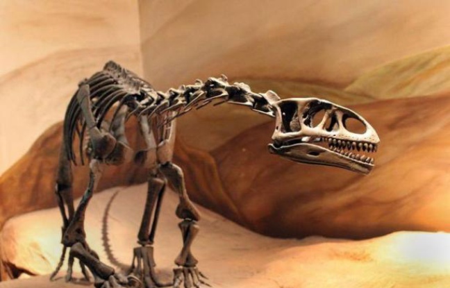 De petites empreintes et des embryons fossiles ont été découverts sur l'un des plus anciens sites de nidification de dinosaures révélant de nouveaux détails sur l'existence de ces créatures majestueuses, selon une étude publiée lundi aux Etats-Unis. De petites empreintes et des embryons fossiles ont été découverts sur l'un des plus anciens sites de nidification de dinosaures révélant de nouveaux détails sur l'existence de ces créatures majestueuses, selon une étude publiée lundi aux Etats-Unis.