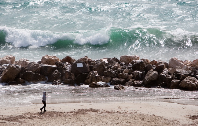 Une personne se promène sur une plage. Une personne se promène sur une plage.