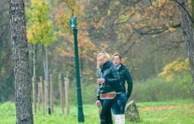 Le bois de Boulogne sous la pression des macs de lEst ~ Fille Bois De Boulogne Le bois de Boulogne sous la pression des macs de lEst ~ Fille Bois De Boulogne