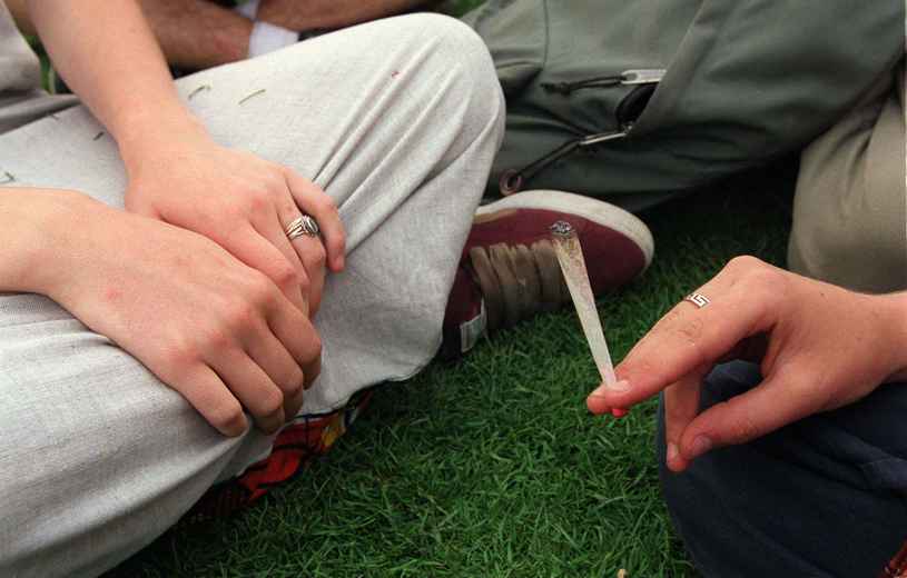 Une consommation précoce influence les résultats scolaires — Cannabis Une consommation précoce influence les résultats scolaires — Cannabis