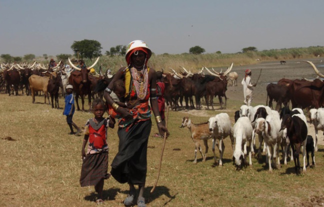 Femmes peules au Tchad. Femmes peules au Tchad.
