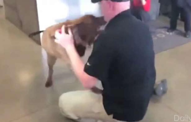 Capture d'écran de la vidéo des retrouvailles entre le sergent Jason Bos et son chien-renifleur, Cila, à Chicago le 30 avril 2014. Capture d'écran de la vidéo des retrouvailles entre le sergent Jason Bos et son chien-renifleur, Cila, à Chicago le 30 avril 2014.
