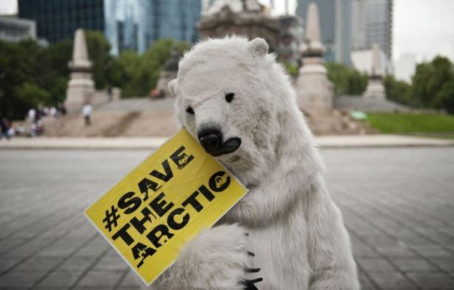 Greenpeace a lancé jeudi à Rio+20 une nouvelle campagne impliquant des acteurs, cinéastes, stars du rock et hommes d'affaires, pour faire de l'Arctique un sanctuaire vierge de forages pétroliers et de pêche industrielle. Greenpeace a lancé jeudi à Rio+20 une nouvelle campagne impliquant des acteurs, cinéastes, stars du rock et hommes d'affaires, pour faire de l'Arctique un sanctuaire vierge de forages pétroliers et de pêche industrielle.