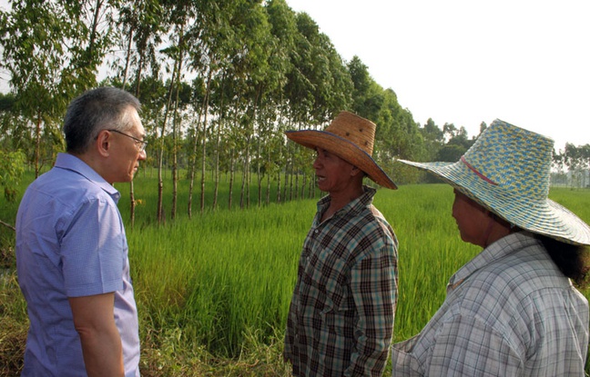 Thirawit Leetavorn, vice-président de Double A, et les riziculteurs dans la rizière où poussent des eucalyptus pour la pâte à papier en Thaïlande, le 14 octobre 2014. Thirawit Leetavorn, vice-président de Double A, et les riziculteurs dans la rizière où poussent des eucalyptus pour la pâte à papier en Thaïlande, le 14 octobre 2014.