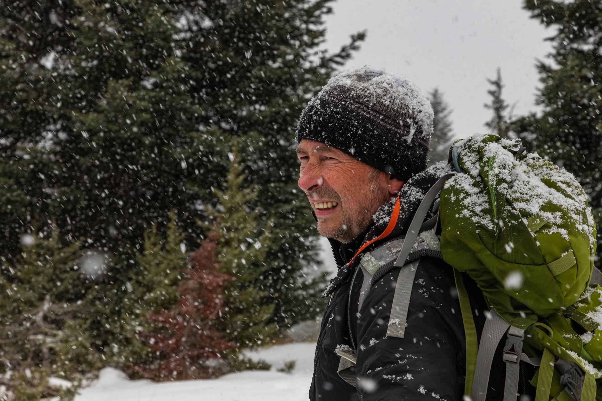 «La Vallée des Loups» Dans les HautesAlpes, JeanMichel Bertrand a