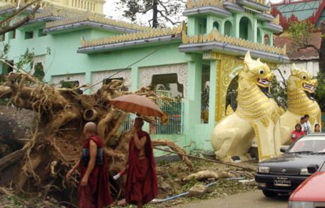 Un arbre déraciné après le passage du cyclone Nargis à Rangoon, Birmanie, le 4 mai 2008. Un arbre déraciné après le passage du cyclone Nargis à Rangoon, Birmanie, le 4 mai 2008.