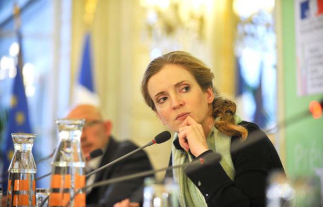 Nathalie Kosciusko-Morizet, ministre de l'Ecologie, le 27 janvier 2011. Nathalie Kosciusko-Morizet, ministre de l'Ecologie, le 27 janvier 2011.