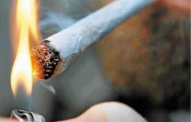 De nombreux nordistes allaient se fournir en cannabis aux Pays-Bas. De nombreux nordistes allaient se fournir en cannabis aux Pays-Bas.