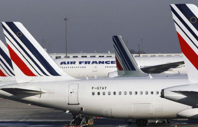 Des avions stationnent à l'aéroport Charles-de-Gaulle de Roissy, près de Paris, le 21 juin 2012. Des avions stationnent à l'aéroport Charles-de-Gaulle de Roissy, près de Paris, le 21 juin 2012.