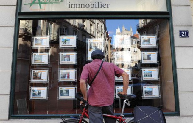 Illustration des biens immobiliers en vente au sein d'une agence immobiliere rue de Strasbourg a Nantes Illustration des biens immobiliers en vente au sein d'une agence immobiliere rue de Strasbourg a Nantes