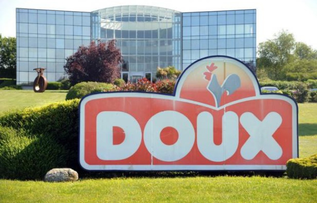 LGroupe familial basé à Châteaulin (Finistère) et connu pour sa marque "Père Dodu", Doux a été placé à sa demande vendredi en redressement judiciaire par le tribunal de commerce de Quimper. LGroupe familial basé à Châteaulin (Finistère) et connu pour sa marque "Père Dodu", Doux a été placé à sa demande vendredi en redressement judiciaire par le tribunal de commerce de Quimper.