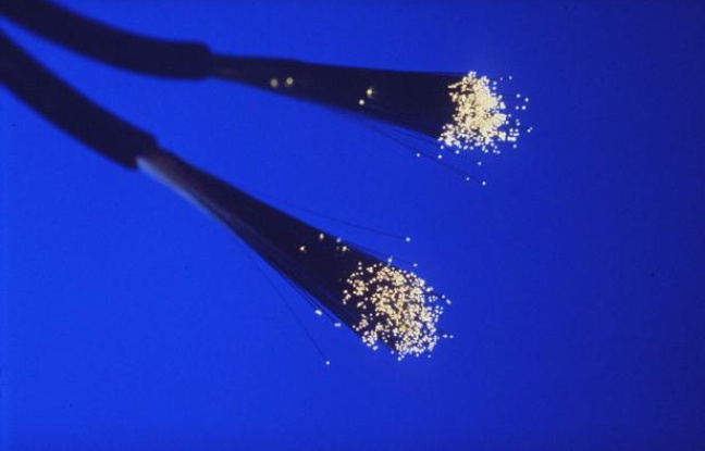 Un câble de fibre optique. Un câble de fibre optique.