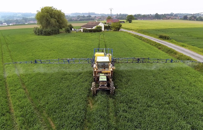 Illustration: un agriculteur emploie des pesticides dans son champ en France. Illustration: un agriculteur emploie des pesticides dans son champ en France.