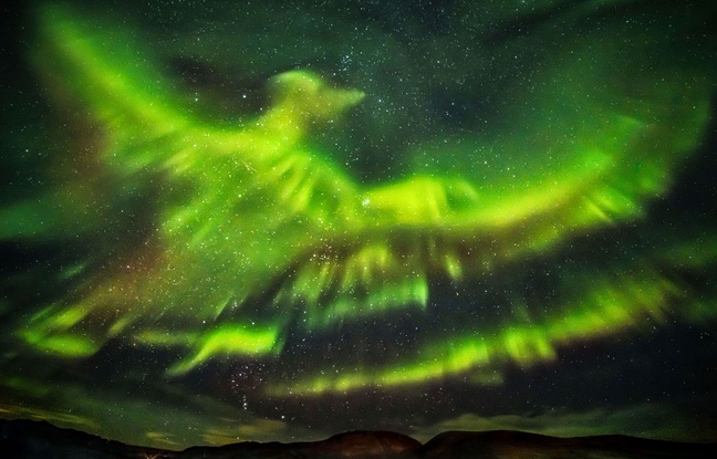 Le photographe Hallgrimur P. Helgason a immortalisé une aurore boréale en forme de Phoenix dans le ciel de Kaldársel, en Islande. Le photographe Hallgrimur P. Helgason a immortalisé une aurore boréale en forme de Phoenix dans le ciel de Kaldársel, en Islande.