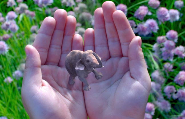 La startup Magic Leap travaille sur une solution de réalité augmentée d'un genre nouveau. La startup Magic Leap travaille sur une solution de réalité augmentée d'un genre nouveau.