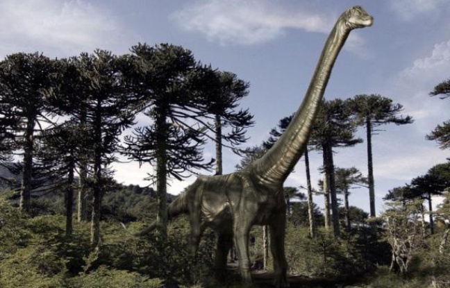 La disparition subite des dinosaures, il y a 65 millions d'années, a donné lieu à toutes sortes de spéculations. Une équipe scientifique suisso-britannique voit dans la stratégie reproductrice de ces animaux fascinants qui pondaient des oeufs, un nouvel élément d'explication. La disparition subite des dinosaures, il y a 65 millions d'années, a donné lieu à toutes sortes de spéculations. Une équipe scientifique suisso-britannique voit dans la stratégie reproductrice de ces animaux fascinants qui pondaient des oeufs, un nouvel élément d'explication.