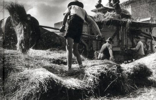 Aveyron, le temps de la terre : 1950-1960 Aveyron, le temps de la terre : 1950-1960