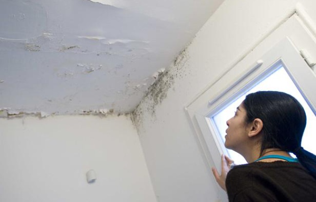 Dégât des eaux sur le plafond et les murs d'un appartement. Dégât des eaux sur le plafond et les murs d'un appartement.