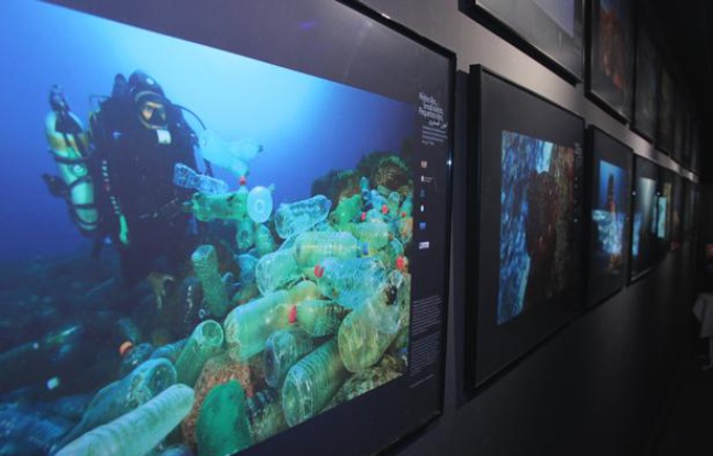 Exposition "Les petites îles, sentinelles de la Méditerranée", à l'Aquarium de Paris en juillet 2012. Exposition "Les petites îles, sentinelles de la Méditerranée", à l'Aquarium de Paris en juillet 2012.