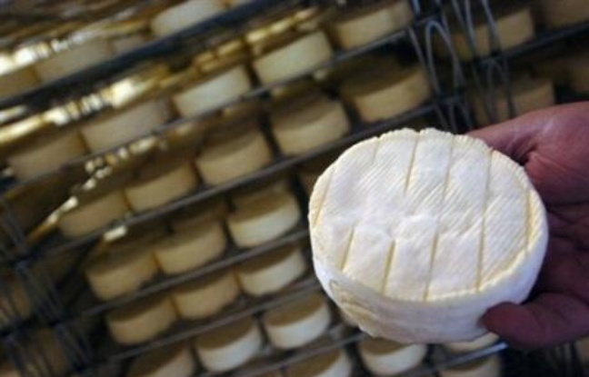 Le camembert AOC de Normandie devrait rester fabriqué au lait cru, les petits producteurs ayant remporté une victoire décisive face aux industriels qui voulaient supprimer cette obligation, selon des sources proches du dossier. Le camembert AOC de Normandie devrait rester fabriqué au lait cru, les petits producteurs ayant remporté une victoire décisive face aux industriels qui voulaient supprimer cette obligation, selon des sources proches du dossier.