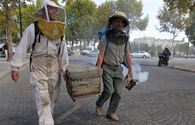 Des apiculteurs ont manifesté le 14 septembre contre les pesticides nuisibles aux abeilles en demandant l'asile écologique de leurs rûches au Jardin des plantes, à Paris. Des apiculteurs ont manifesté le 14 septembre contre les pesticides nuisibles aux abeilles en demandant l'asile écologique de leurs rûches au Jardin des plantes, à Paris.