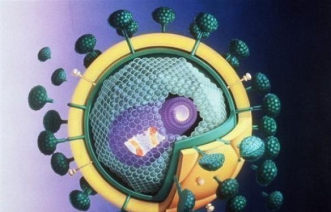 Des chercheurs américains ont pu établir que deux hommes accusés d'avoir transmis sciemment le virus du sida à des partenaires sexuelles étaient bien à l'origine de ces infections, confortant la fiabilité d'une technique d'analyse génétique complexe en justice criminelle. Des chercheurs américains ont pu établir que deux hommes accusés d'avoir transmis sciemment le virus du sida à des partenaires sexuelles étaient bien à l'origine de ces infections, confortant la fiabilité d'une technique d'analyse génétique complexe en justice criminelle.