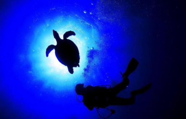 Sortir du laboratoire pour aller constater in vivo, au fond de la Méditerranée, comment réagissent coquillages et plantes aquatiques face à l'acidification des océans due au CO2: une simulation inédite en Europe est en préparation près de Nice. Sortir du laboratoire pour aller constater in vivo, au fond de la Méditerranée, comment réagissent coquillages et plantes aquatiques face à l'acidification des océans due au CO2: une simulation inédite en Europe est en préparation près de Nice.