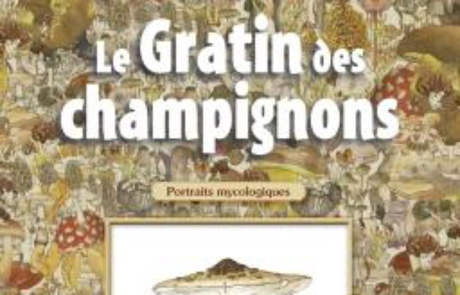 Le gratin des champignons Le gratin des champignons