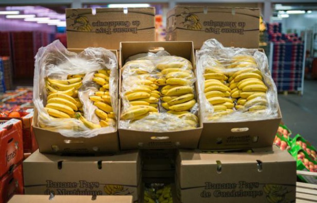 Des bananes produites en Guadeloupe, vendues au marché de Rungis près de Paris, le 23 décembre 2014 Des bananes produites en Guadeloupe, vendues au marché de Rungis près de Paris, le 23 décembre 2014