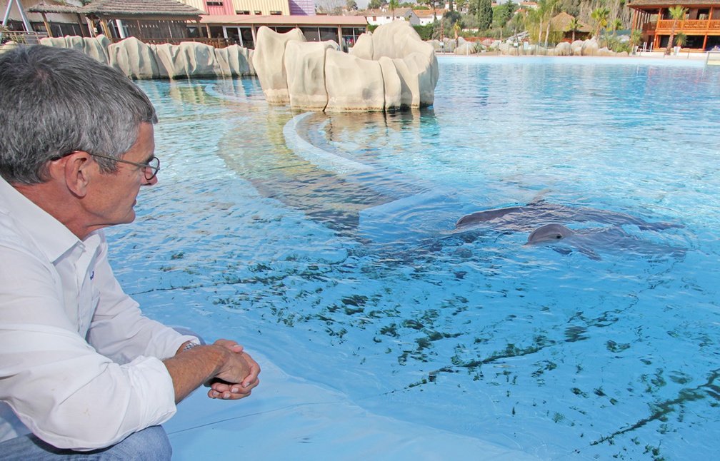 Code promo marineland rencontre avec les dauphins