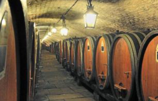 La cave des hospices de Strasbourg. La cave des hospices de Strasbourg.