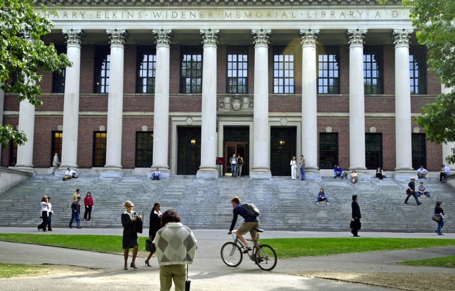 La bibliothèque de l'université Harvard aux Etats-Unis La bibliothèque de l'université Harvard aux Etats-Unis