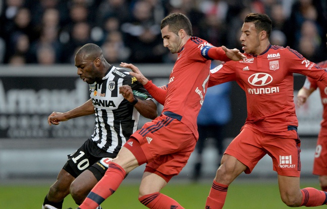 Ici aidé par Corentin Tolisso, Maxime Gonalons a retrouvé tout son abattage samedi pour venir à bout de Gilles Sunu et d'Angers (0-3).JEAN-FRANCOIS MONIER Ici aidé par Corentin Tolisso, Maxime Gonalons a retrouvé tout son abattage samedi pour venir à bout de Gilles Sunu et d'Angers (0-3).JEAN-FRANCOIS MONIER