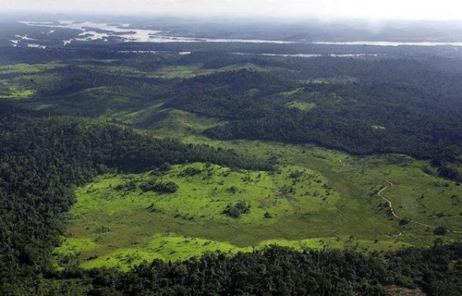 Les déboisements en Amazonie ont pratiquement triplé au cours des trois premiers mois de cette année par rapport à la même période de l'année dernière, a indiqué jeudi l'Institut brésilien de recherches spatiales (Inpe) sur la base de données satellitaires provisoires Les déboisements en Amazonie ont pratiquement triplé au cours des trois premiers mois de cette année par rapport à la même période de l'année dernière, a indiqué jeudi l'Institut brésilien de recherches spatiales (Inpe) sur la base de données satellitaires provisoires